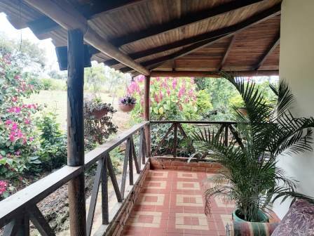 VENDO PARCELA EN VILLANUEVA  PCV11737