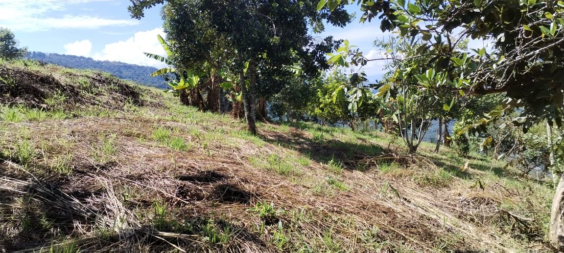 VENTA PARCELA EN SAN GIL VEREDA JARAL PCS101789