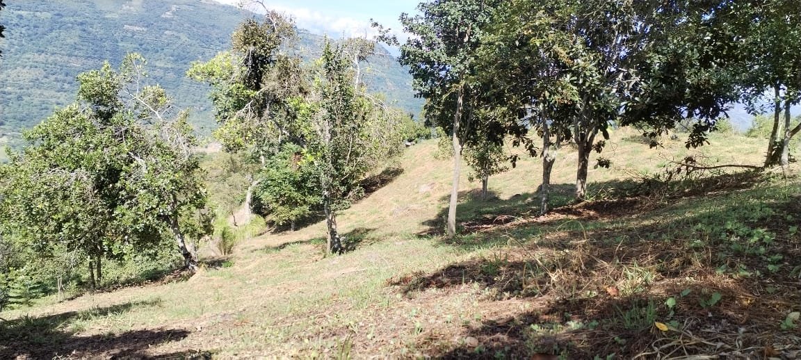 VENTA PARCELA EN SAN GIL VEREDA JARAL PCS101789