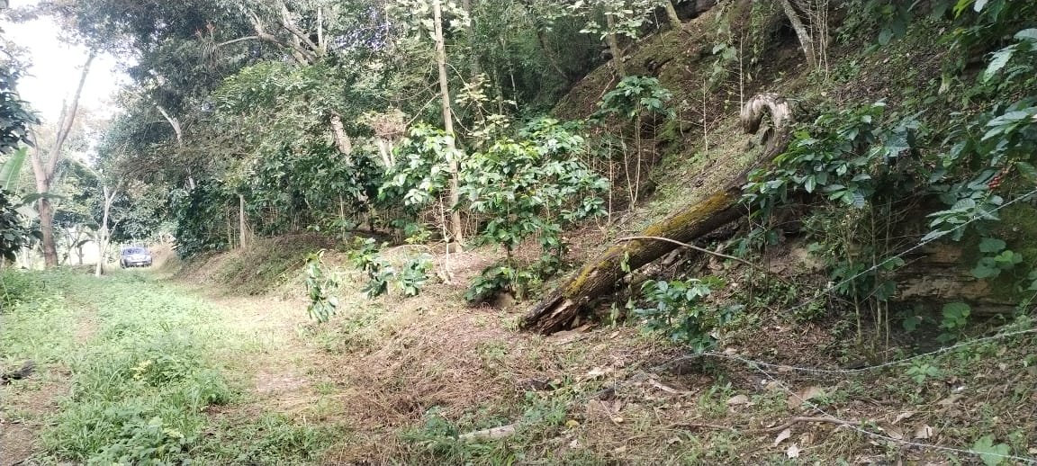 VENTA PARCELA EN SAN GIL VEREDA JARAL PCS101789