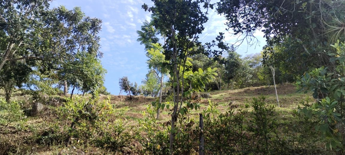 VENTA PARCELA EN SAN GIL VEREDA JARAL PCS101789