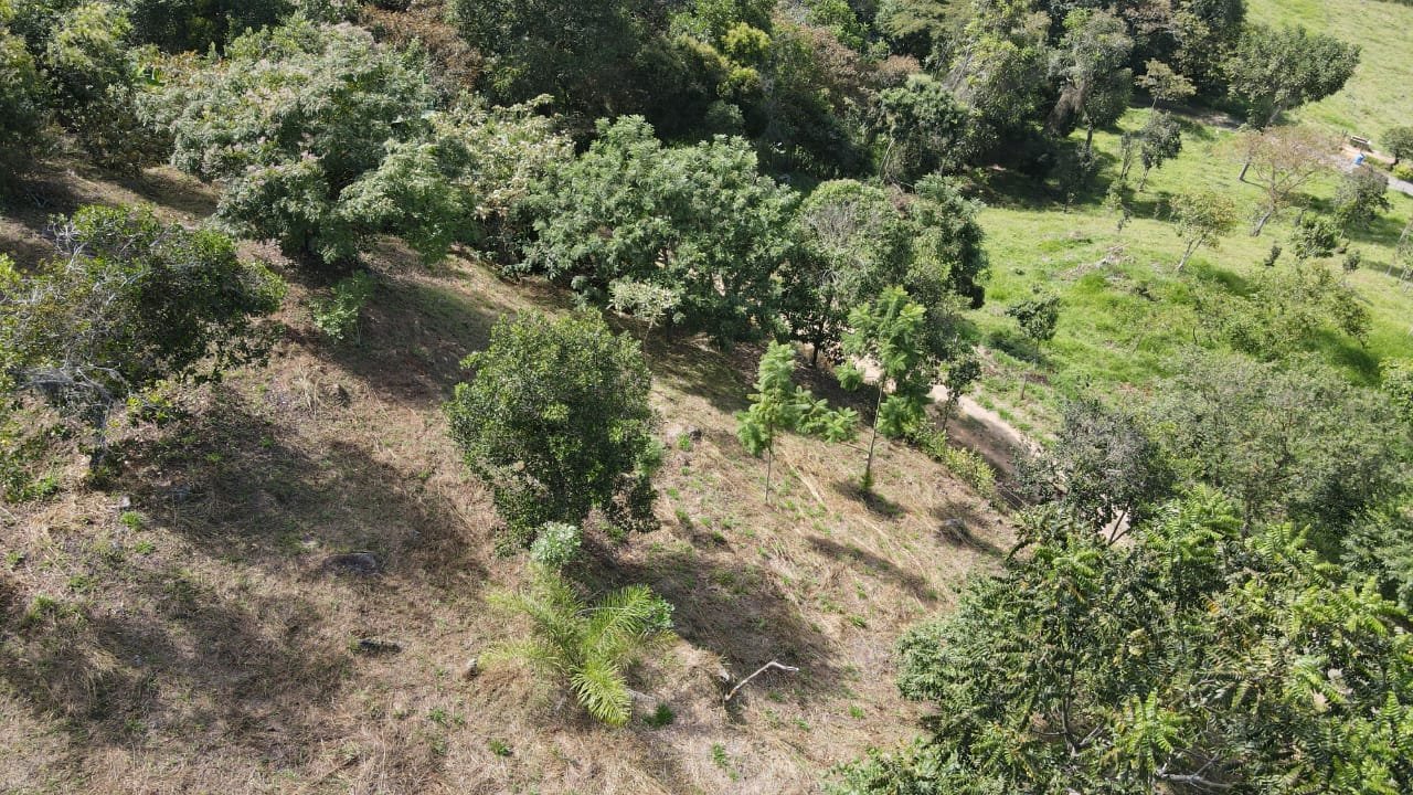 VENTA PARCELA EN SAN GIL VEREDA JARAL PCS101789