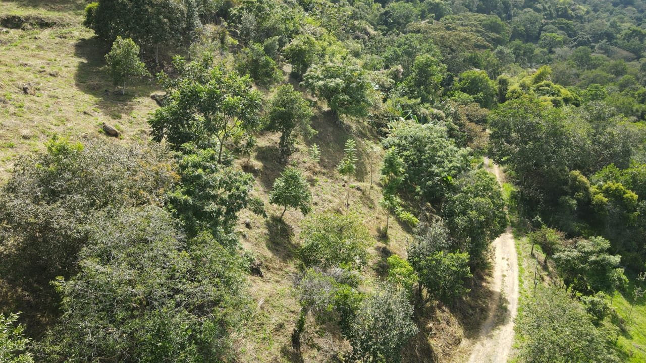 VENTA PARCELA EN SAN GIL VEREDA JARAL PCS101789