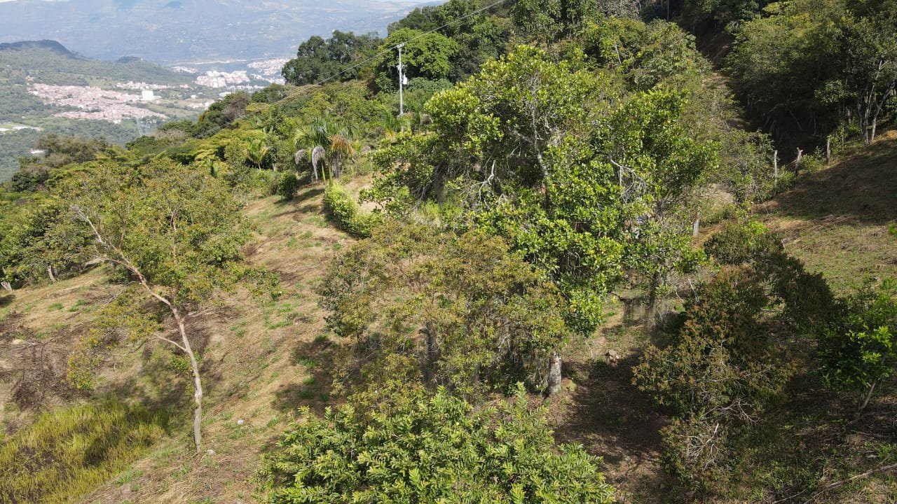 VENTA PARCELA EN SAN GIL VEREDA JARAL PCS101789