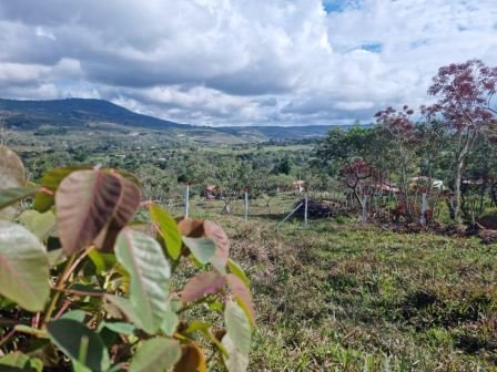 VENDO PARCELA- CURITI PCC81842