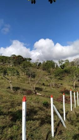 VENDO PARCELA- CURITI PCC81842