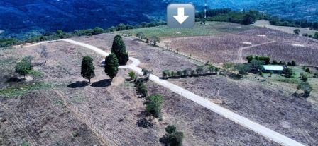 VENDO PARCELA- CURITI PCC81842