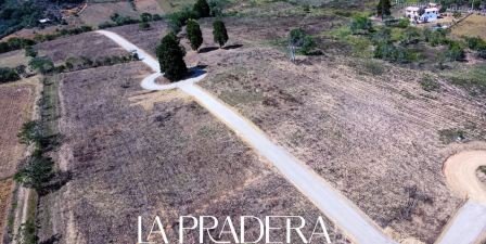 VENDO PARCELA- CURITI PCC81842