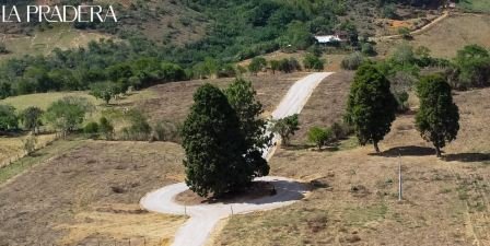 VENDO PARCELA- CURITI PCC81842