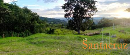 VENDO PARCELA - CURITI PCC91858