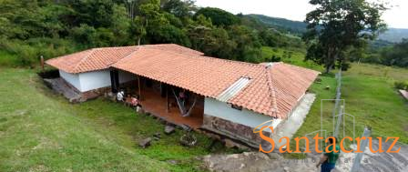 VENDO PARCELA - CURITI PCC91858