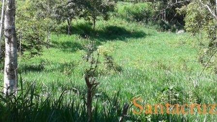 VENDO FINCA - MOGOTES  FCM11869