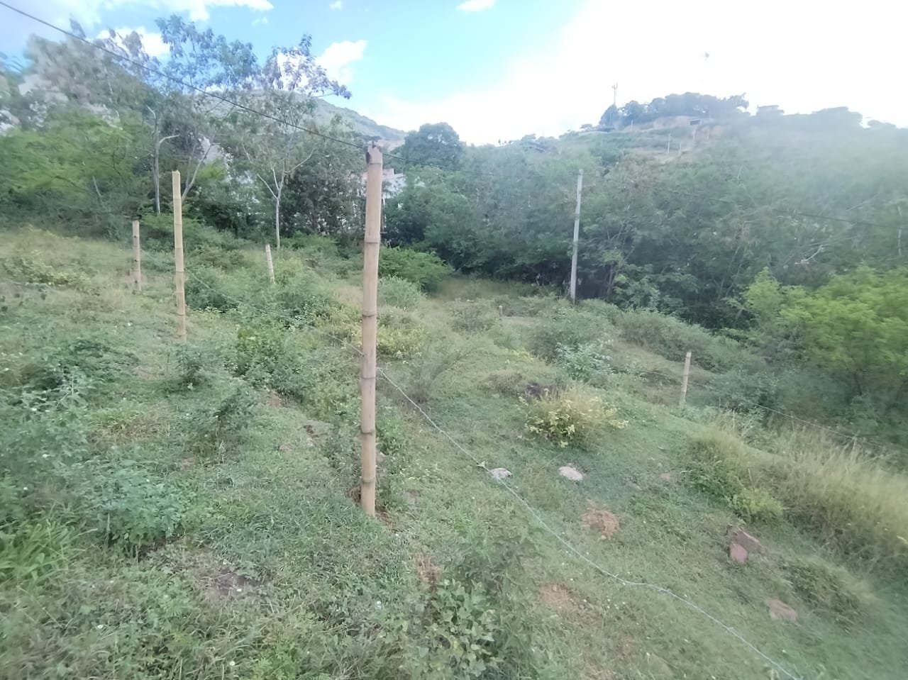 VENDO LOTE SAN GIL LS161877