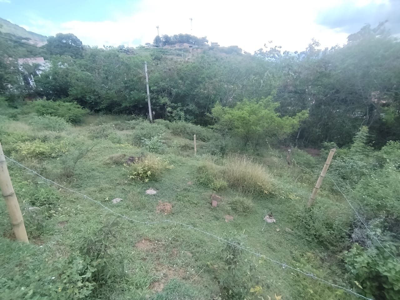 VENDO LOTE SAN GIL LS161877