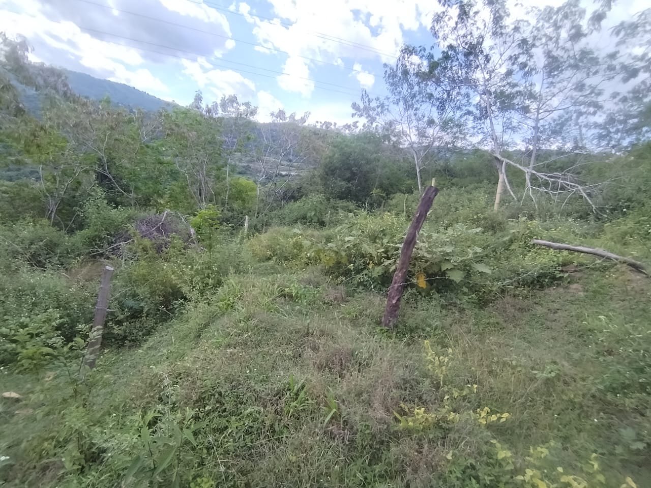 VENDO LOTE EN SAN GIL LS181880