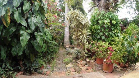 CASA BARICHARA  CB11890