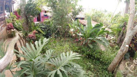 CASA BARICHARA  CB11890