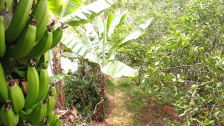 CASA BARICHARA  CB11890