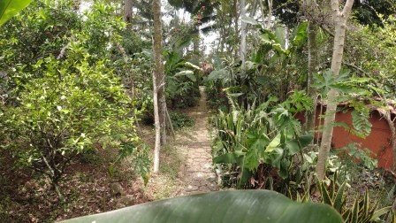 CASA BARICHARA  CB11890