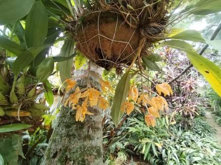 CASA BARICHARA  CB11890