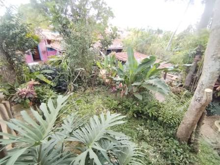 CASA BARICHARA  CB11890