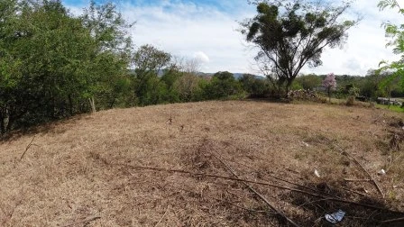 ARRIENDO LOTE VÍA NACIONAL  - LP1