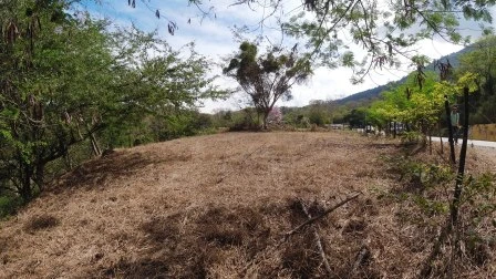 ARRIENDO LOTE VÍA NACIONAL  - LP1