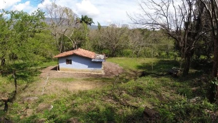 ARRIENDO LOTE VÍA NACIONAL  - LP1