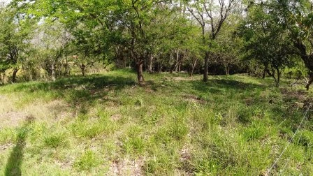 ARRIENDO LOTE VÍA NACIONAL  - LP1