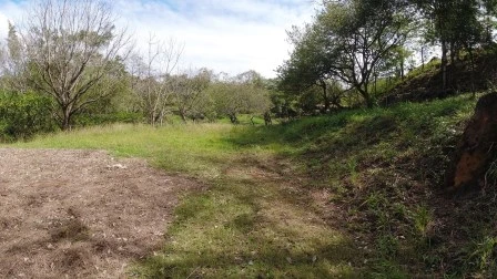 ARRIENDO LOTE VÍA NACIONAL  - LP1