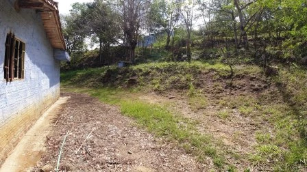 ARRIENDO LOTE VÍA NACIONAL  - LP1