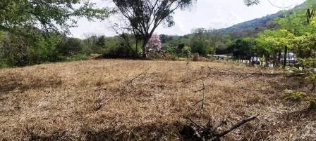 ARRIENDO LOTE VÍA NACIONAL  - LP1