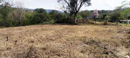 ARRIENDO LOTE VÍA NACIONAL  - LP1