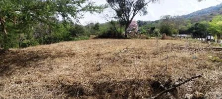 ARRIENDO LOTE VÍA NACIONAL  - LP1