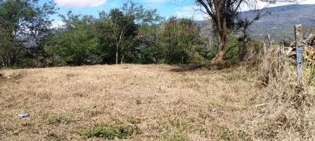 ARRIENDO LOTE VÍA NACIONAL  - LP1