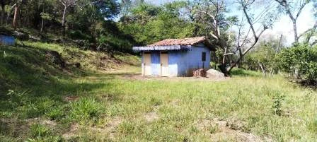 ARRIENDO LOTE VÍA NACIONAL  - LP1