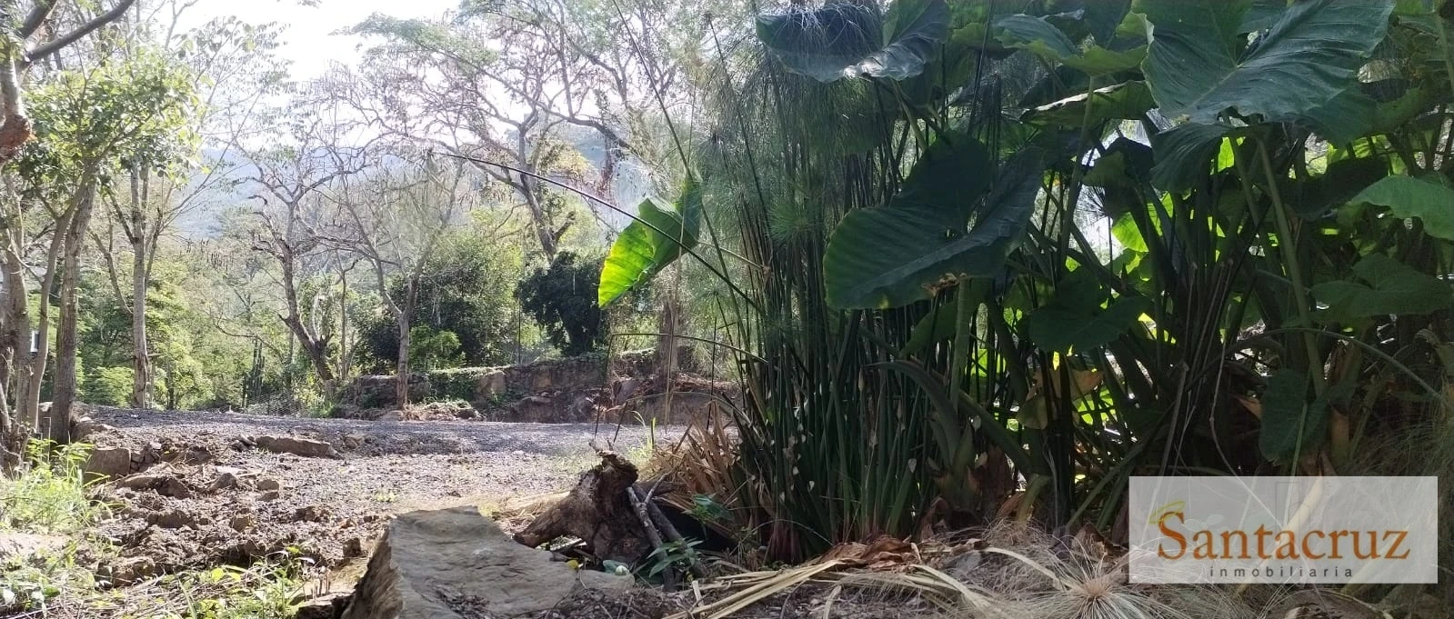 VENTA PARCELA  - PP1