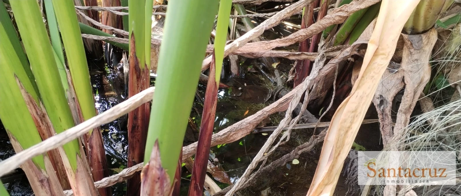 VENTA PARCELA  - PP1