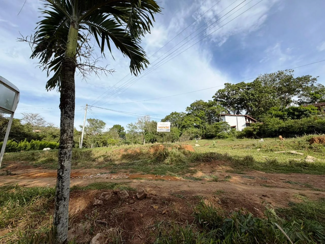 VENDO LOTE URBANO  - LB3