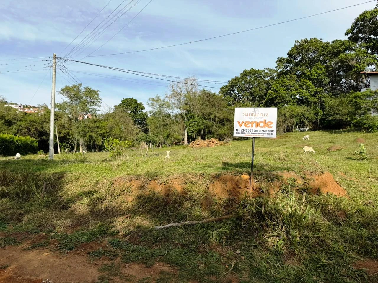 VENDO LOTE URBANO  - LB3