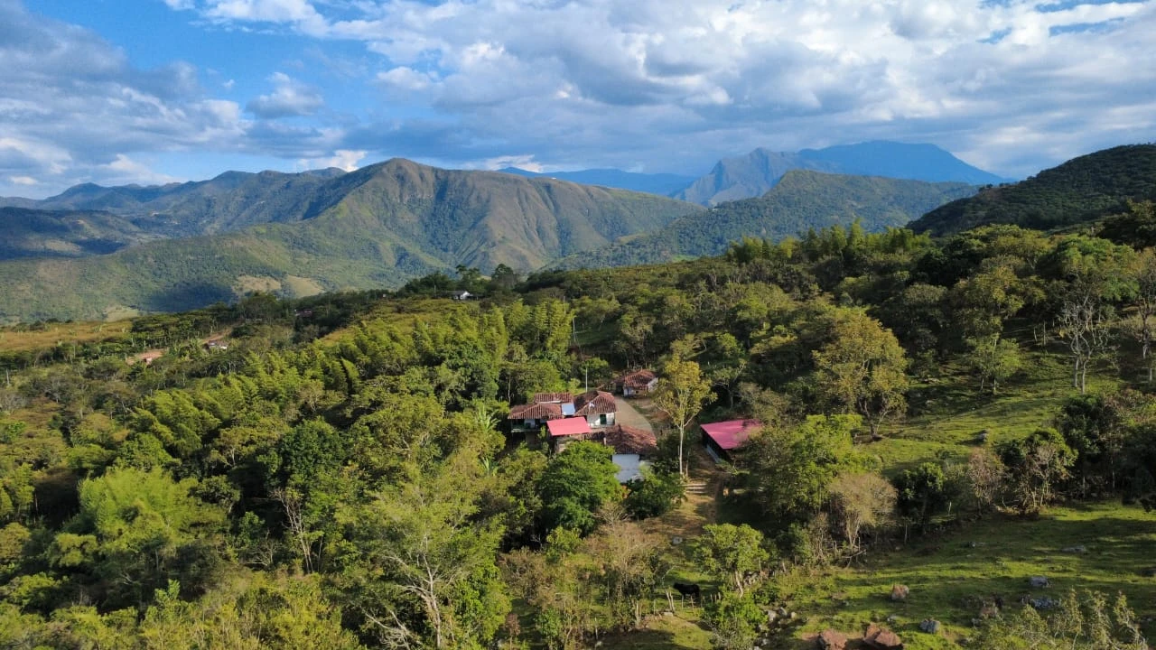 VENDO FINCA CON CAFÉ - FV1