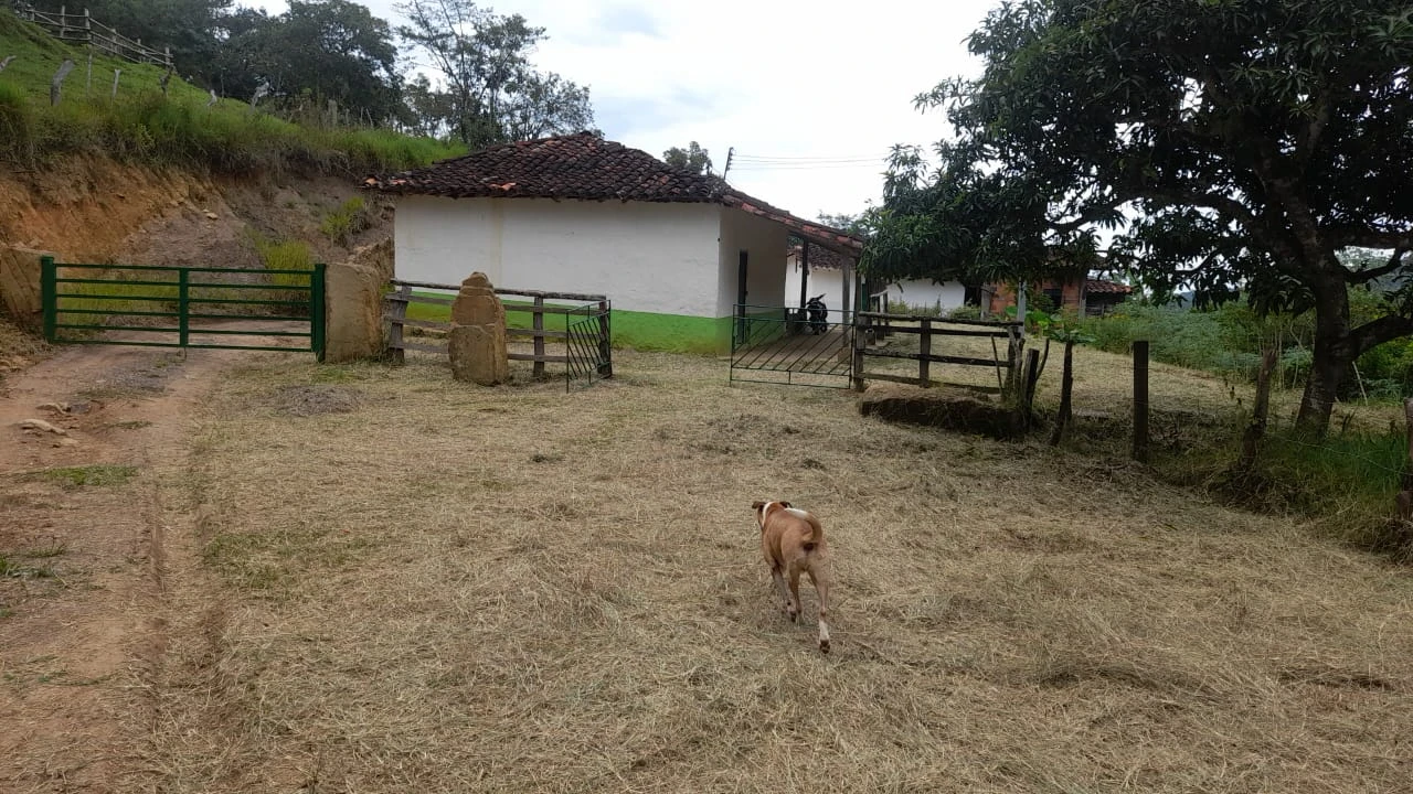 VENDO FINCA CON CAFÉ - FV1