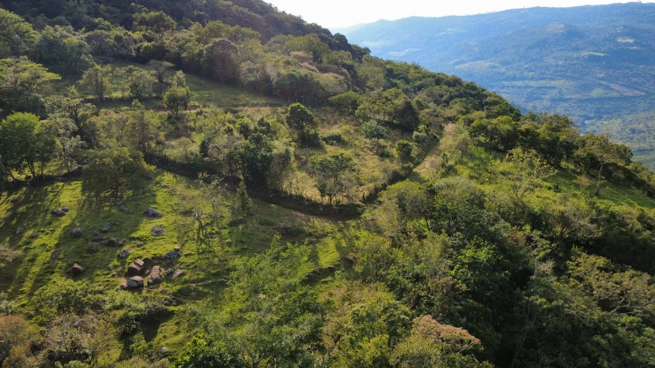 VENDO FINCA CON CAFÉ - FV1