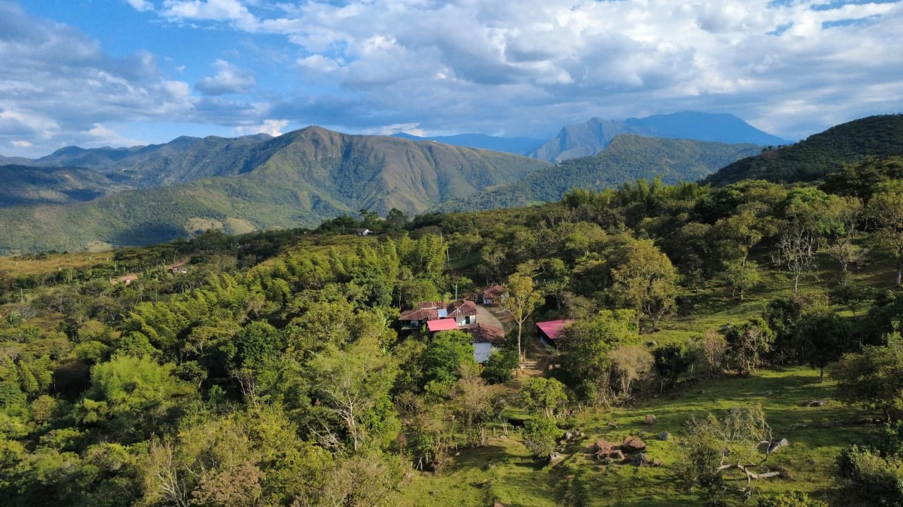 VENDO FINCA CON CAFÉ - FV1