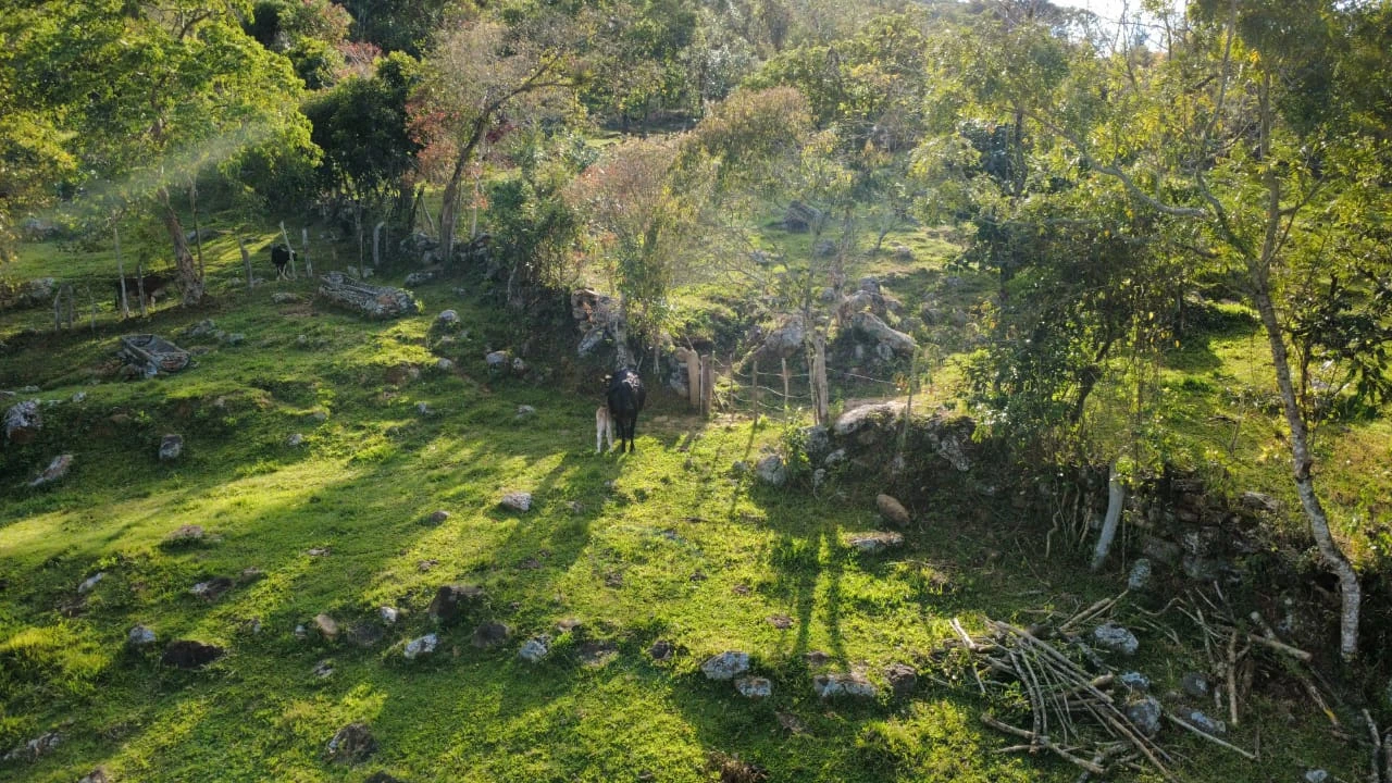 VENDO FINCA CON CAFÉ - FV1