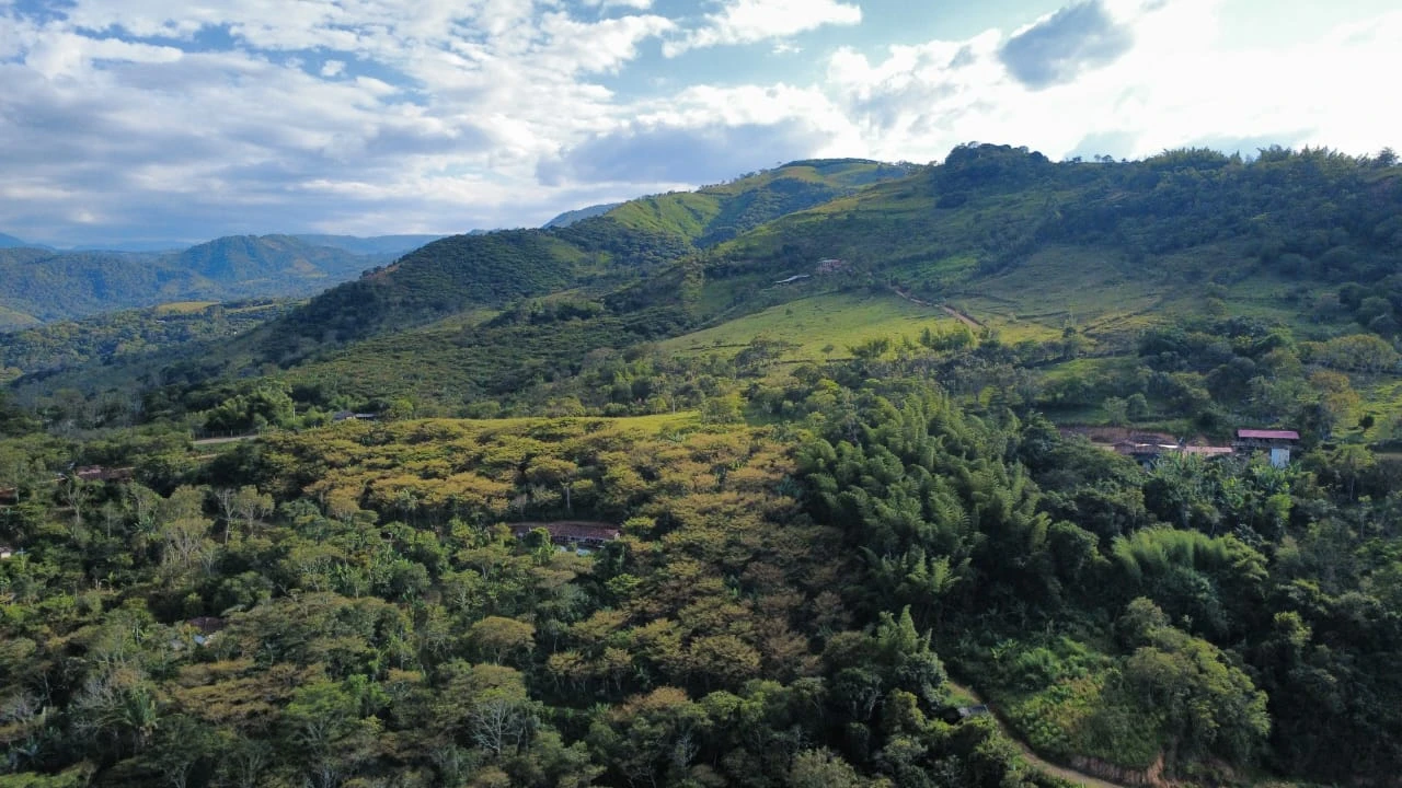 VENDO FINCA CON CAFÉ - FV1