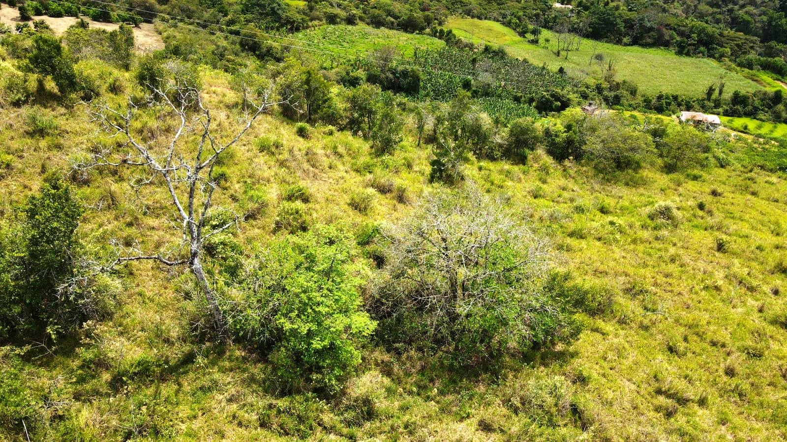 VENTA PARCELA  - PCS6