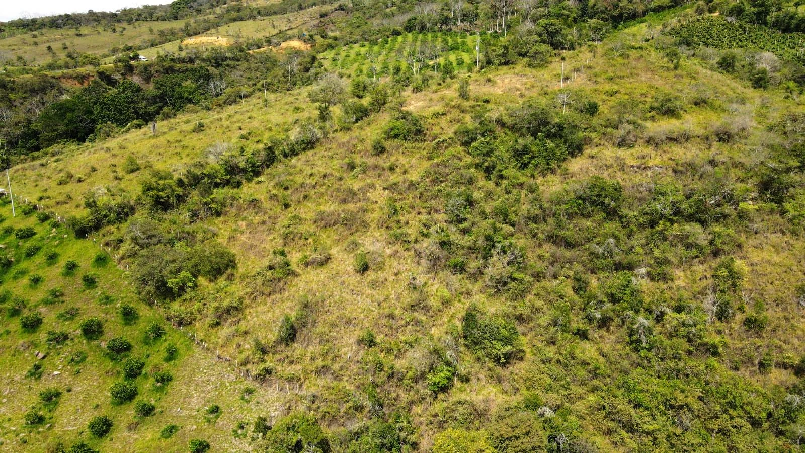 VENTA PARCELA  - PCS6