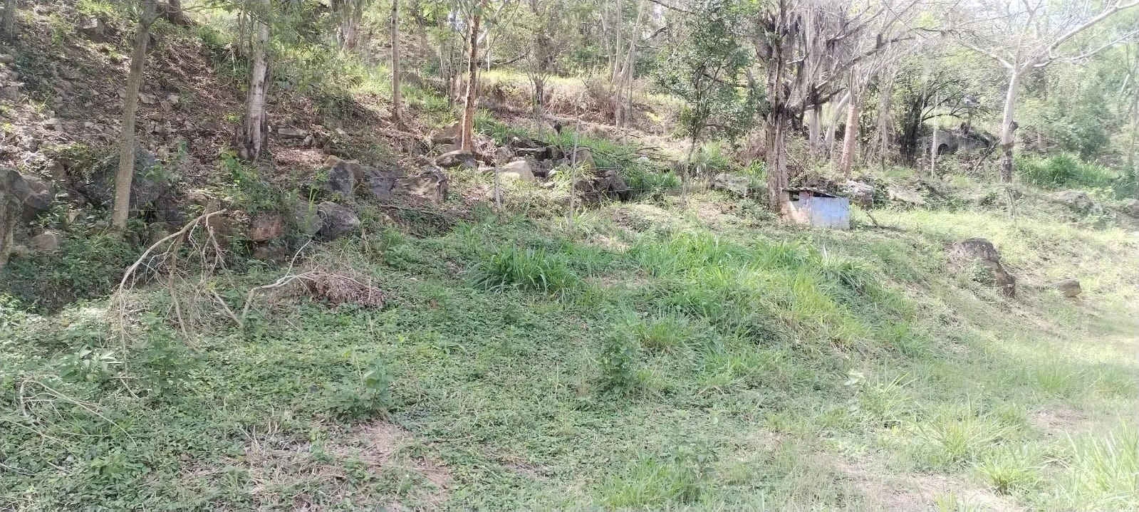 LOTE EN VENTA A UN COSTADO DE LA VÍA NACIONAL  - LT1