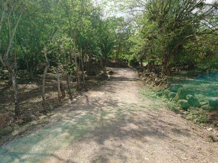 VENTA DE PARCELA EN LA VEGA REAL SAN GIL PC9319